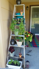 snapchat-3140992743776460670